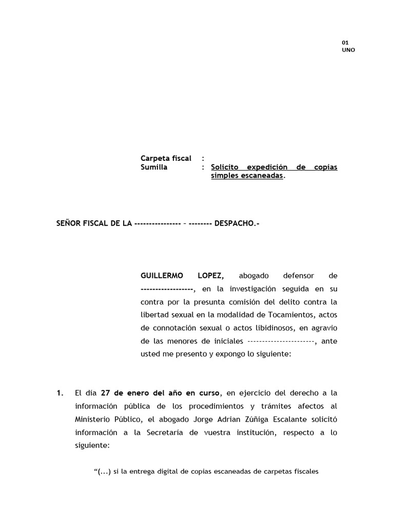 Modelo Solicitud de Copias Simples Escaneadas | PDF