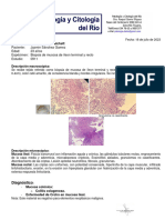 Biopsia Colondos