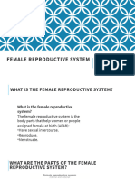 Female Reproductive System - ramoNJUANBASILAN