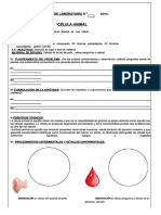 PDF Practica de Laboratorio Celula Animaldocx Compress