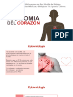 Anatomía Del Corazón