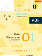 Skin Structure - Functions