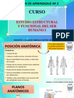 Terminologia Anatomica Descriptiva