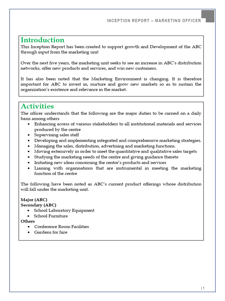 Sample_Inception_Report_Unedited | PDF | Marketing | Sales