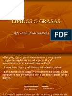 LIPIDOS O GRASASclase 1