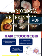 Clase 2 Embriologia Gametogenesis