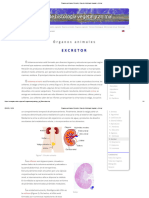 Órganos Animales. Excretor. Atlas de Histología Vegetal y Animal