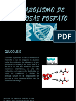  FISIOLOGÍA 