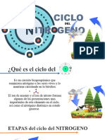 Ciclo Del Nitrogeno