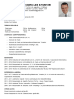 CV Laureano Dominguez Brunner Al 25102016