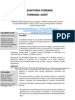 Auditora Forense, TI