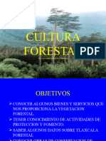 2cultura Forestal Uach