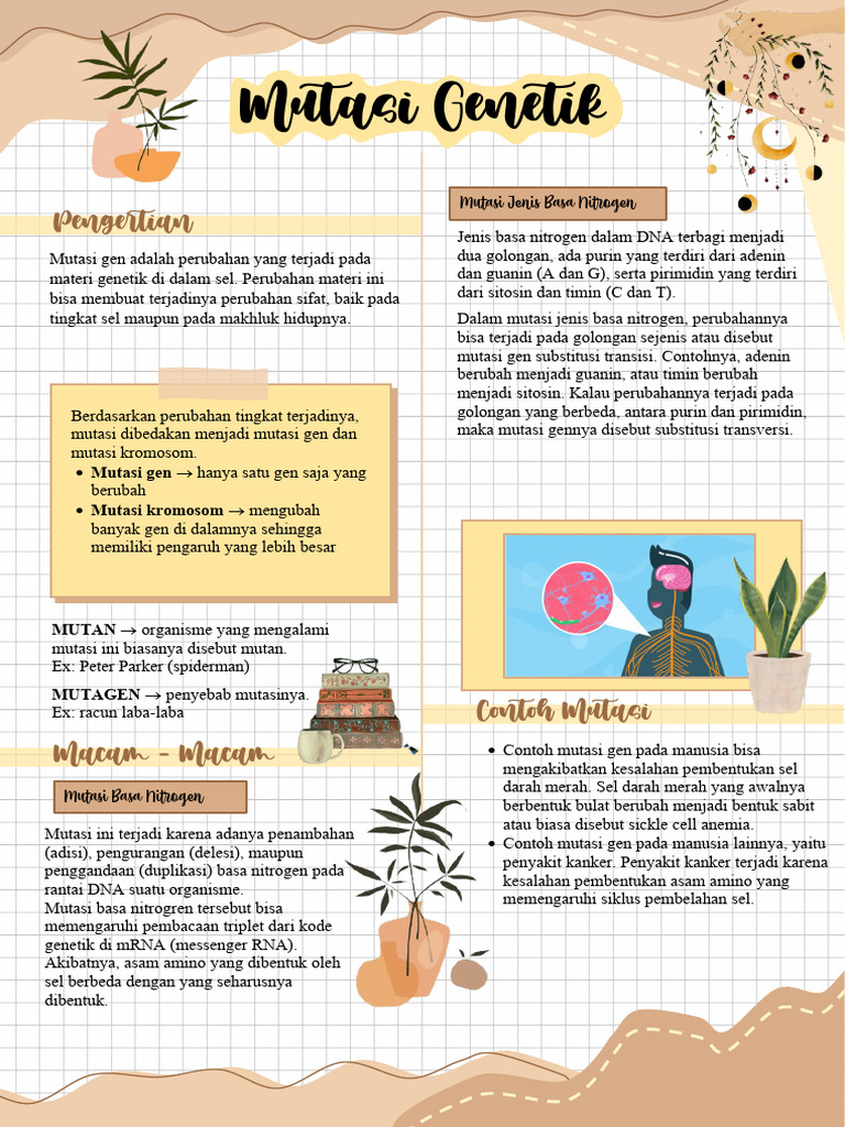 Example Notes | PDF