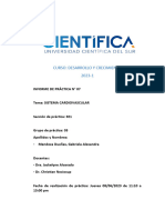 Informe 07