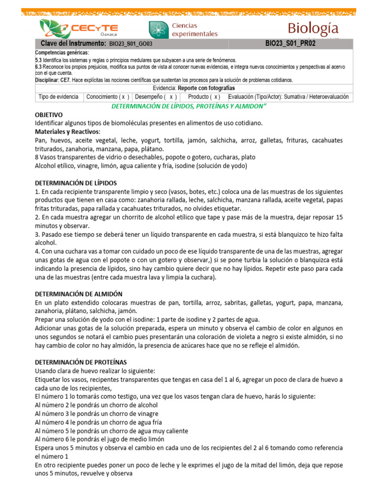 BIO23 S01 PR02 Biomoléculas PDF Almidón Proteínas