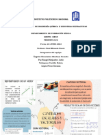 0 - Cantidades Escalares y Vectoriales