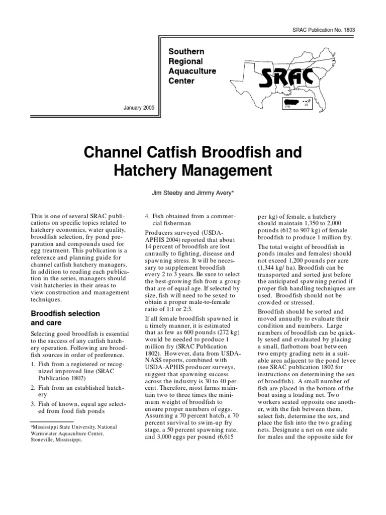 Channel Catfish Broodfish and Hatchery Management PDF Spawn