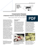 Columnar Is Disease