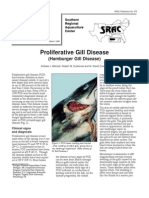 Proliferative Gill Disease