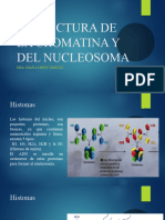 1.2 Estructura de La Cromatina y Del Nucleosoma