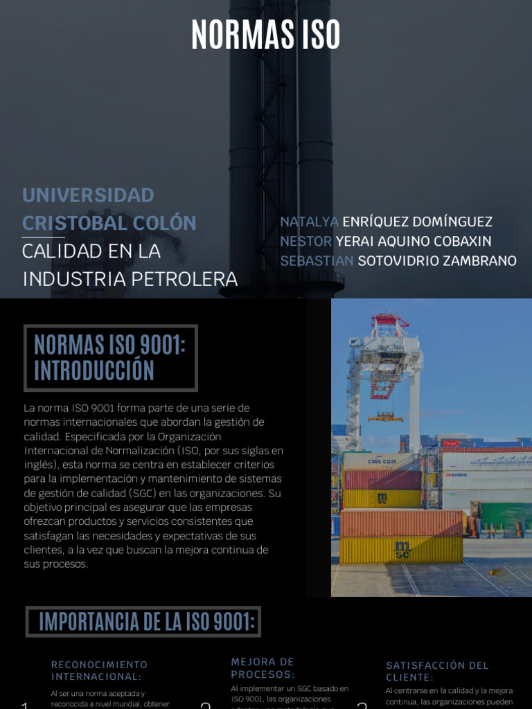 Normas Iso 4, 5 y 6 Con Sus Subtemas | PDF | Negocios