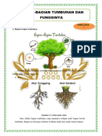 Bagian Bagian Tumbuhan Dan Fungsinya