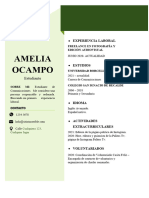 Plantilla CV 5