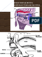 PERTEMUAN 2