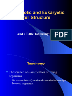 Cell Structure P N e