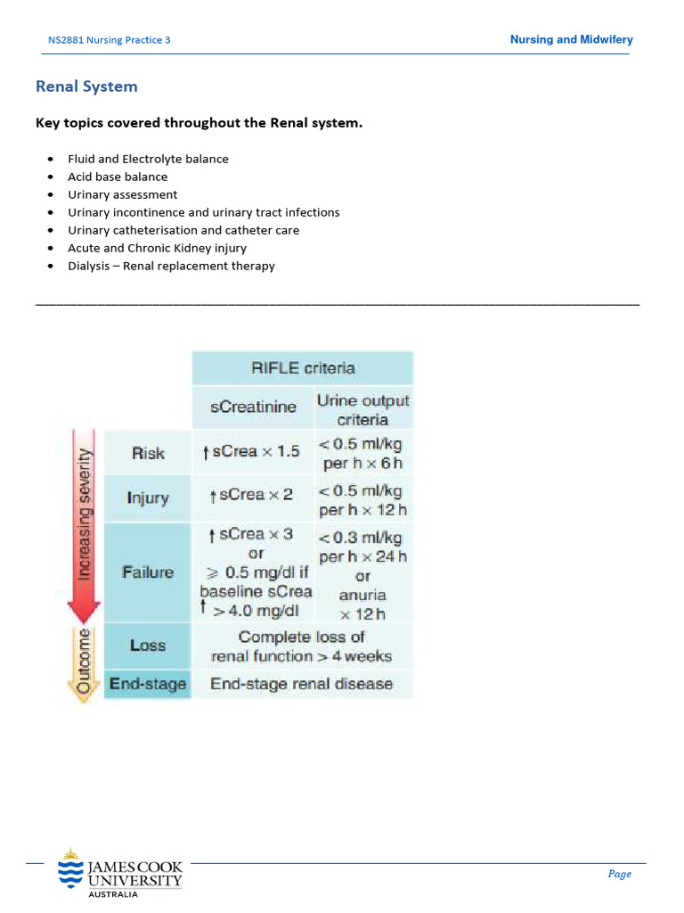 NS2881 Renal Revision Worksheet 2022 | PDF | Kidney | Urinary System