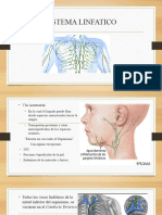 Sistema Linfatico