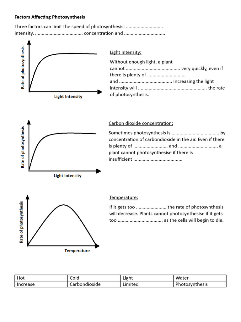 factors-affecting-photosynthesis-pdf