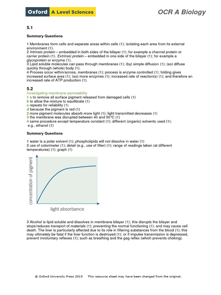Chapter 5 Answers | PDF