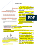 Tut 1 Cardio Ecg