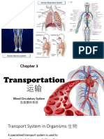 Chapter 3 Transportation