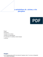 Désordres Du Métabolisme Du Calcium, Et Du Phosphate 2