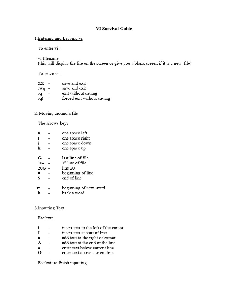 VI Survival Guide | PDF