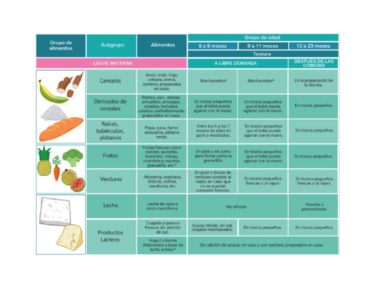 Alimentación Complementaria | PDF