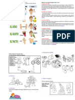 1° B Ciencias Guía #5