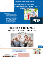 Riesgos y Problemas de Salud en El Adulto Mayor