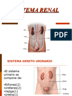 9-Sistema Renal