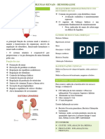 Sistema Renal e Urinario