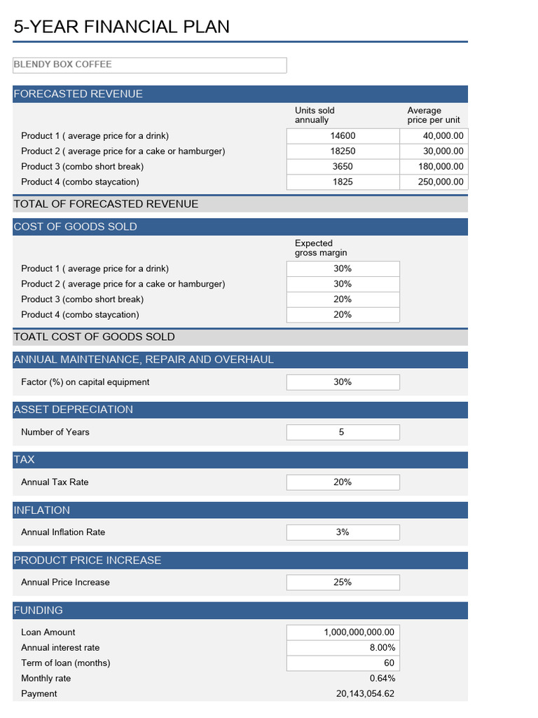 5 Year Financial Plan PDF