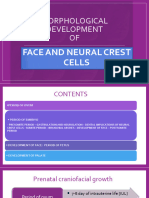 L5 Morphological Development of Face and Neural Crest Cells