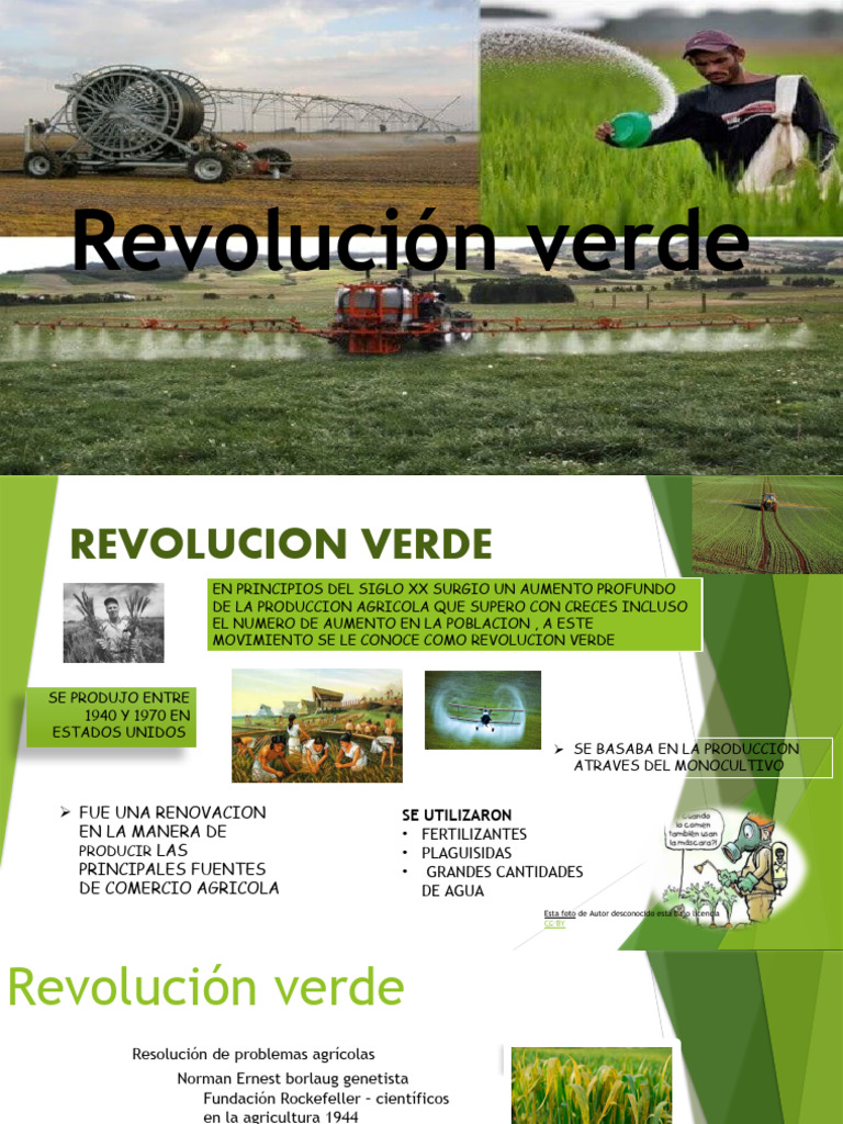 Impacto de la Revolución Verde | PDF | Revolución verde | Agricultura