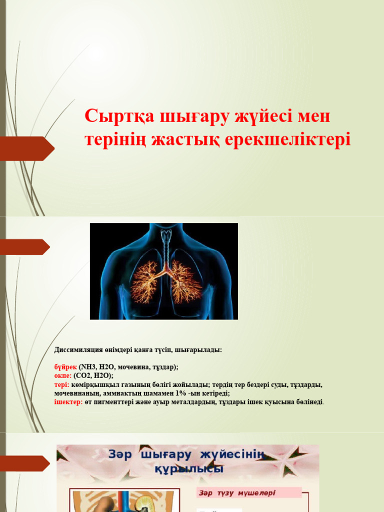 Орыс тілінде ретро порно