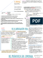 Derecho de Familia - 3