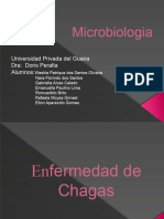 Slide Final de Micro