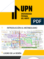 Teosía - Semana 2 - Metabolismo