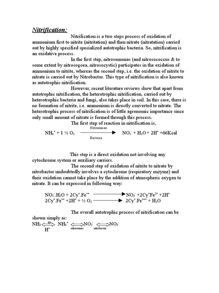 Nitrification Process and Bacterial Roles | PDF | Nitrate | Nitrite
